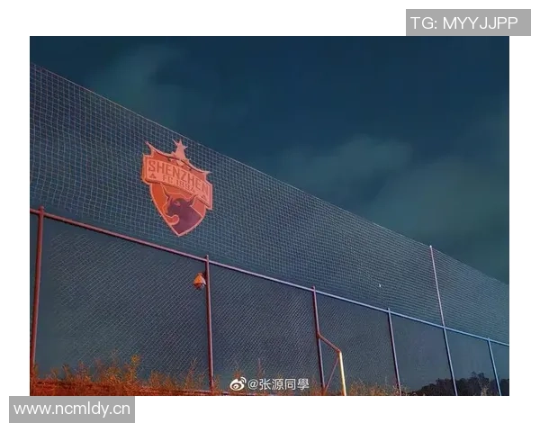 深圳足球队转型之路揭秘：从困境到崛起的奋斗历程与未来展望
